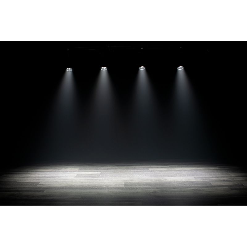 Eliminator Lighting Stealth Wash Zoom