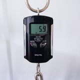 Beard Guitars Trailhead Resonator Acoustic Electric Guitar - Doghair - #1958-25