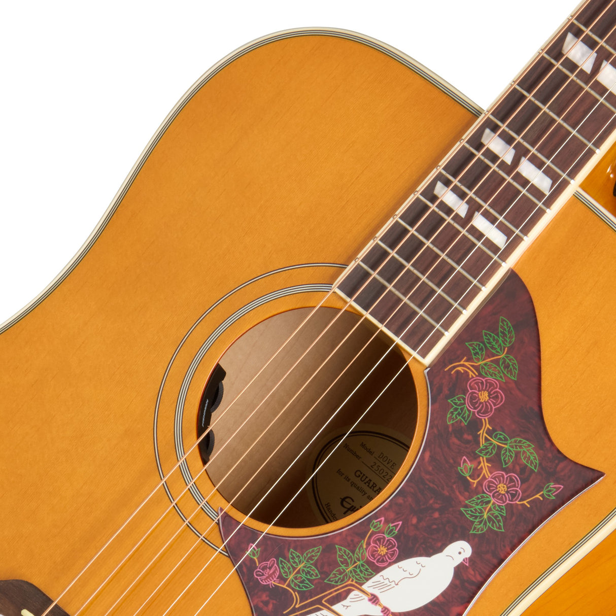 Epiphone Dove Studio Acoustic Electric Guitar - Natural