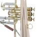 C.G. Conn 1FR B-Flat Flugelhorn Outfit