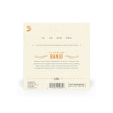 D'Addario EJ631 12-36 Irish Tenor Set