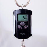 Taylor Bulder's Edition 914ce Indian Rosewood/Lutz Spruce Acoustic Electric Guitar - Wild Honey Burst - #1209164083