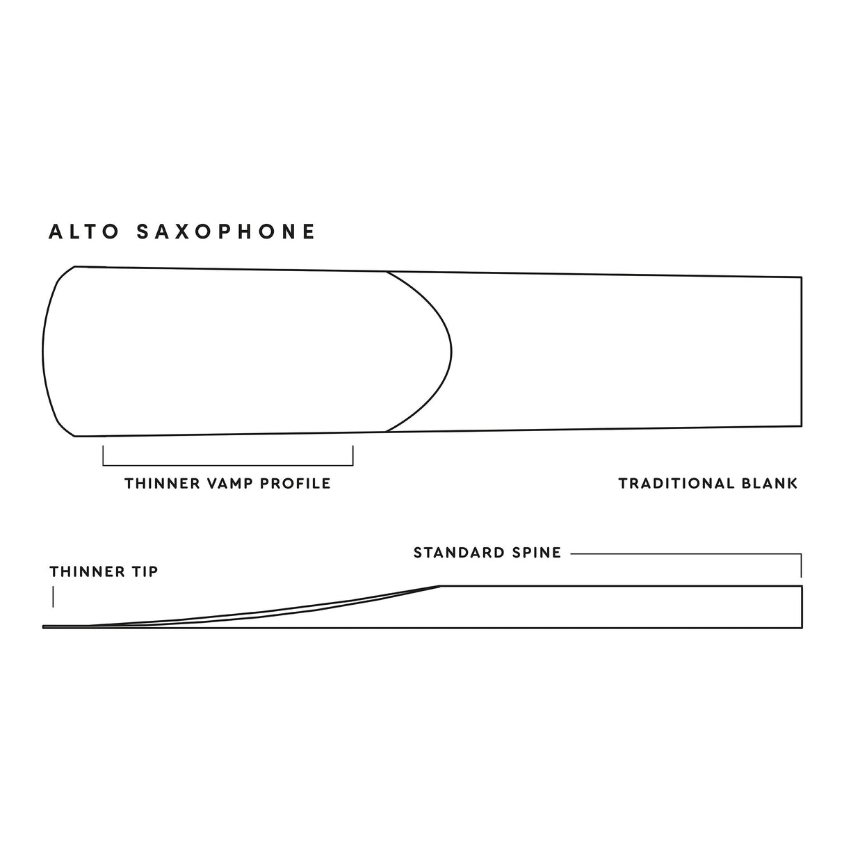 D'Addario RJA0125 Rico Unfiled Alto Sax Reed - 50-Pack, Strength 3