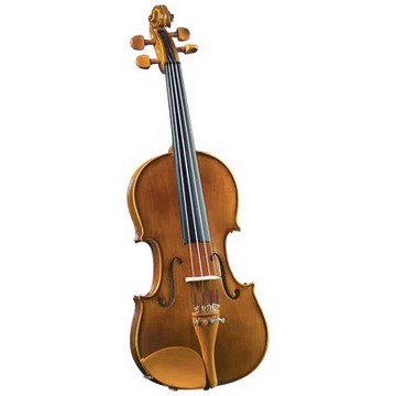 Orchestral Strings Repair & Service Rates