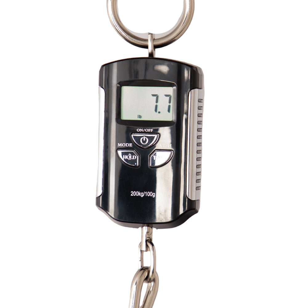 Music Man Quilt Maple Axis Electric Guitar - Roasted Amber - New