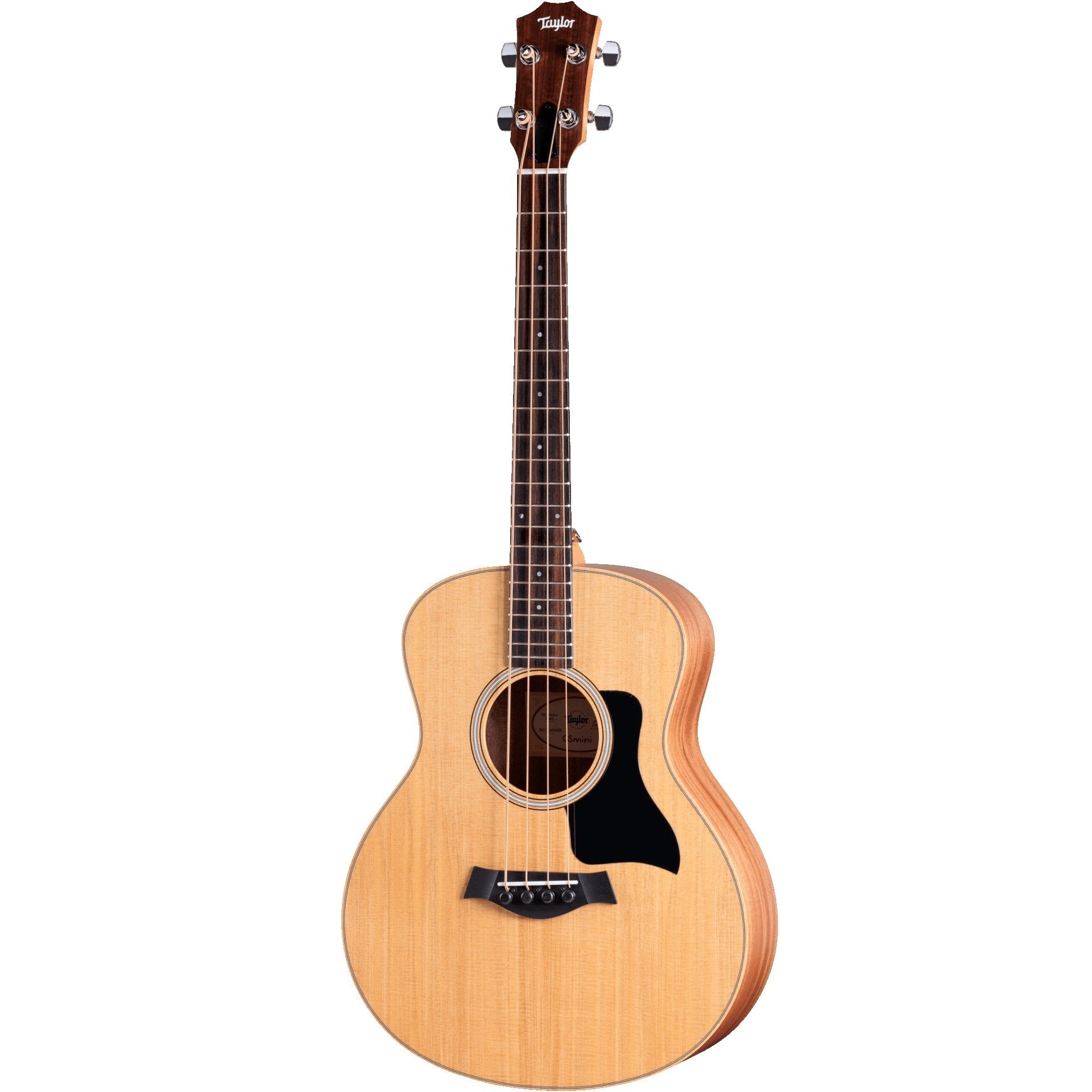 Taylor GS Mini-e Acoustic Electric Bass Guitar – Chuck Levin's