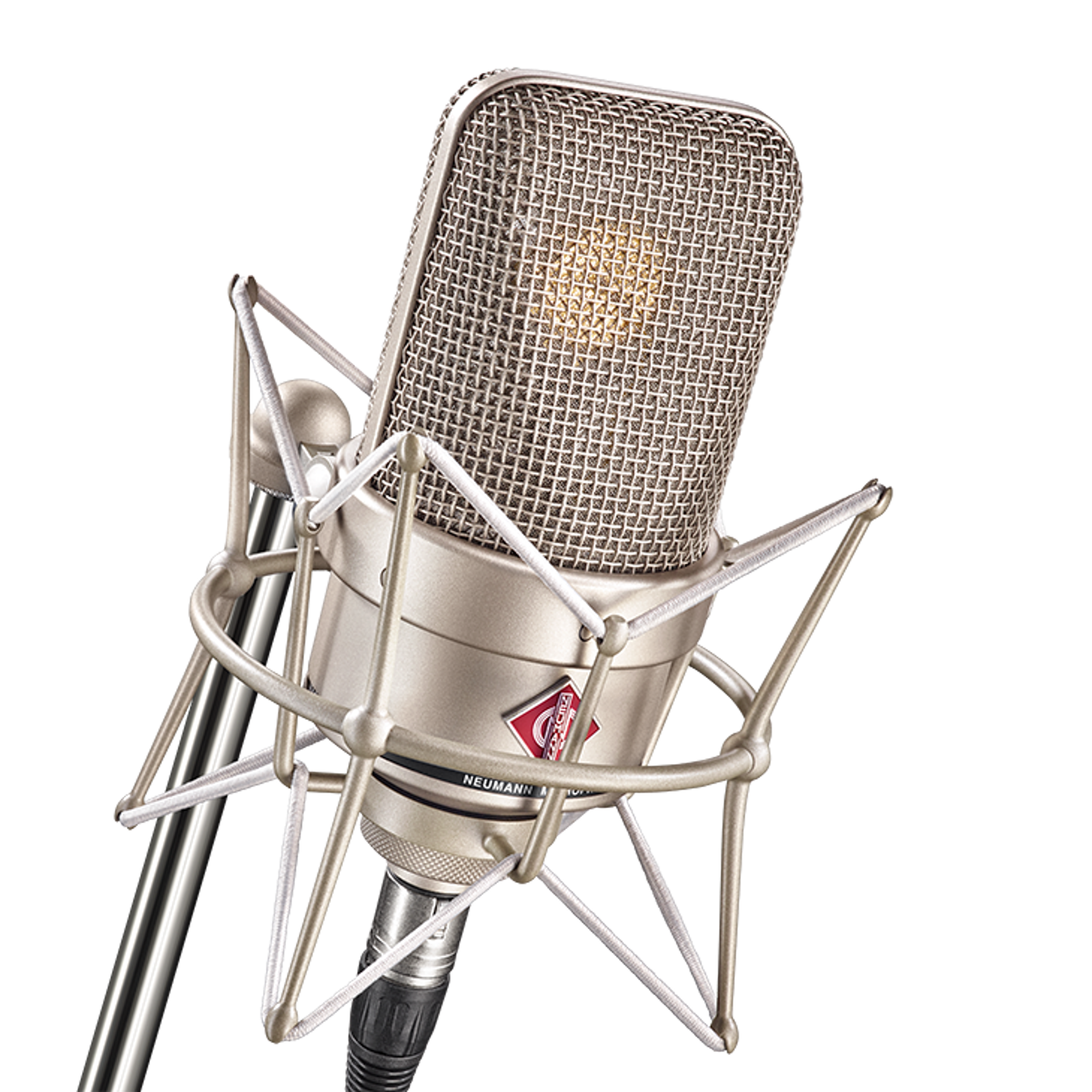 NEUMANN ( ノイマン ) / TLM 49 Neumann TLM 49 Cardioid Condenser Microphone With EA 3 Shock Mount