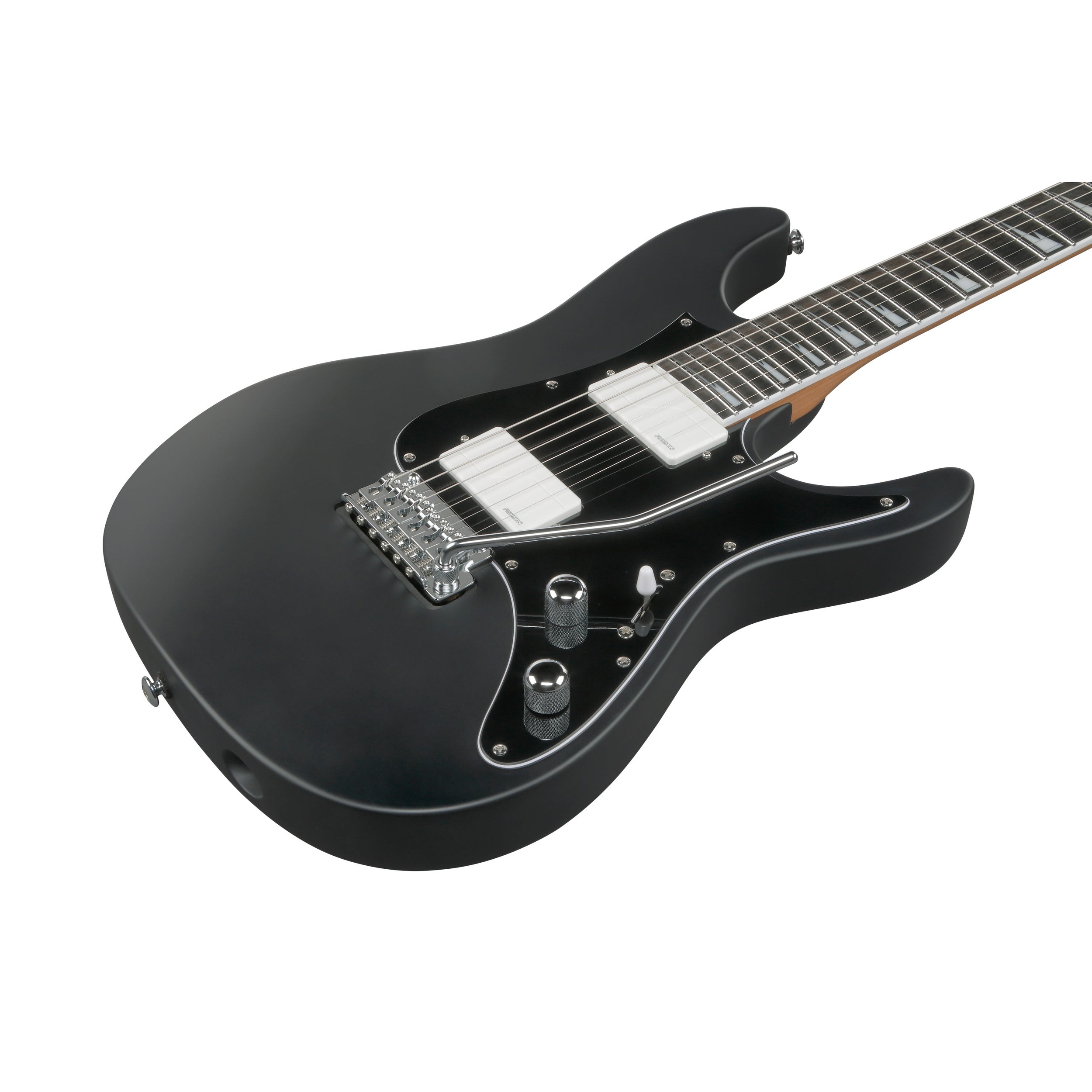 Ibanez BER10 Bernth Signature Electric Guitar - Black – Chuck