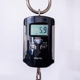 PRS Hollowbody II Piezo 10-Top Hollowbody Electric Guitar - Aurora Borealis