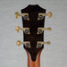 Taylor PS14ce Honduran Rosewood Acoustic Guitar - Preorder - New