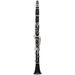 Selmer Paris Professional Model A16SIG A Clarinet - Grenadilla - New
