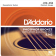 D'Addario EJ42 16-56 Resophonic Acoustic Guitar Strings