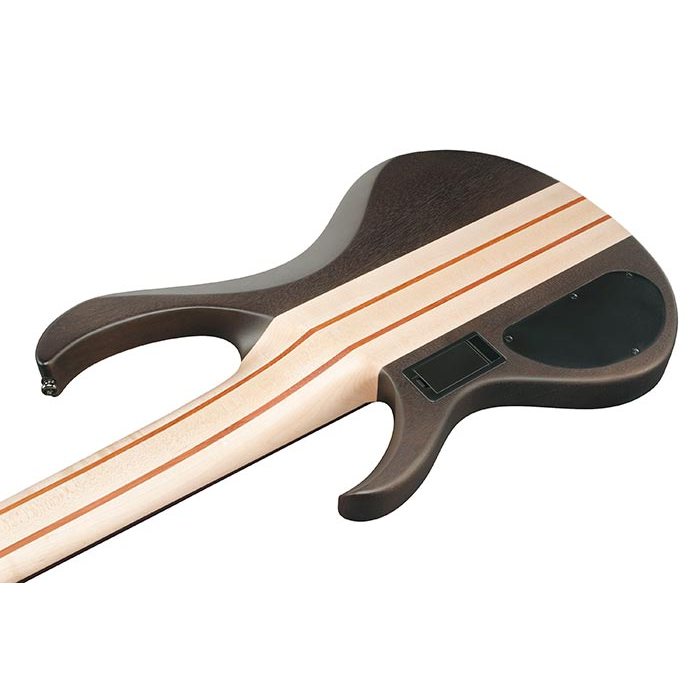 Ibanez BTB Standard 6-String Electric Bass Guitar - Transparent Gray Flat