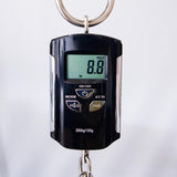 Spector Euro 5 LT Solid Korina Wings 5-String Electric Bass Guitar - Natural Satin - CHUCKSCLUSIVE - #NB23463