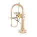 C.G. Conn 1FR B-Flat Flugelhorn Outfit