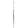 Yamaha YFL-677HCT/LPGP Professional C Flute - Gold Lip Plate and Offset G w/ Split E - New