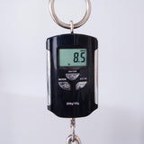 PRS Private Stock McCarty 594 Electric Guitar - Dragon's Breath Glow