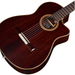 Cordoba Fusion 12 Rose II Electric Nylon String Guitar - New