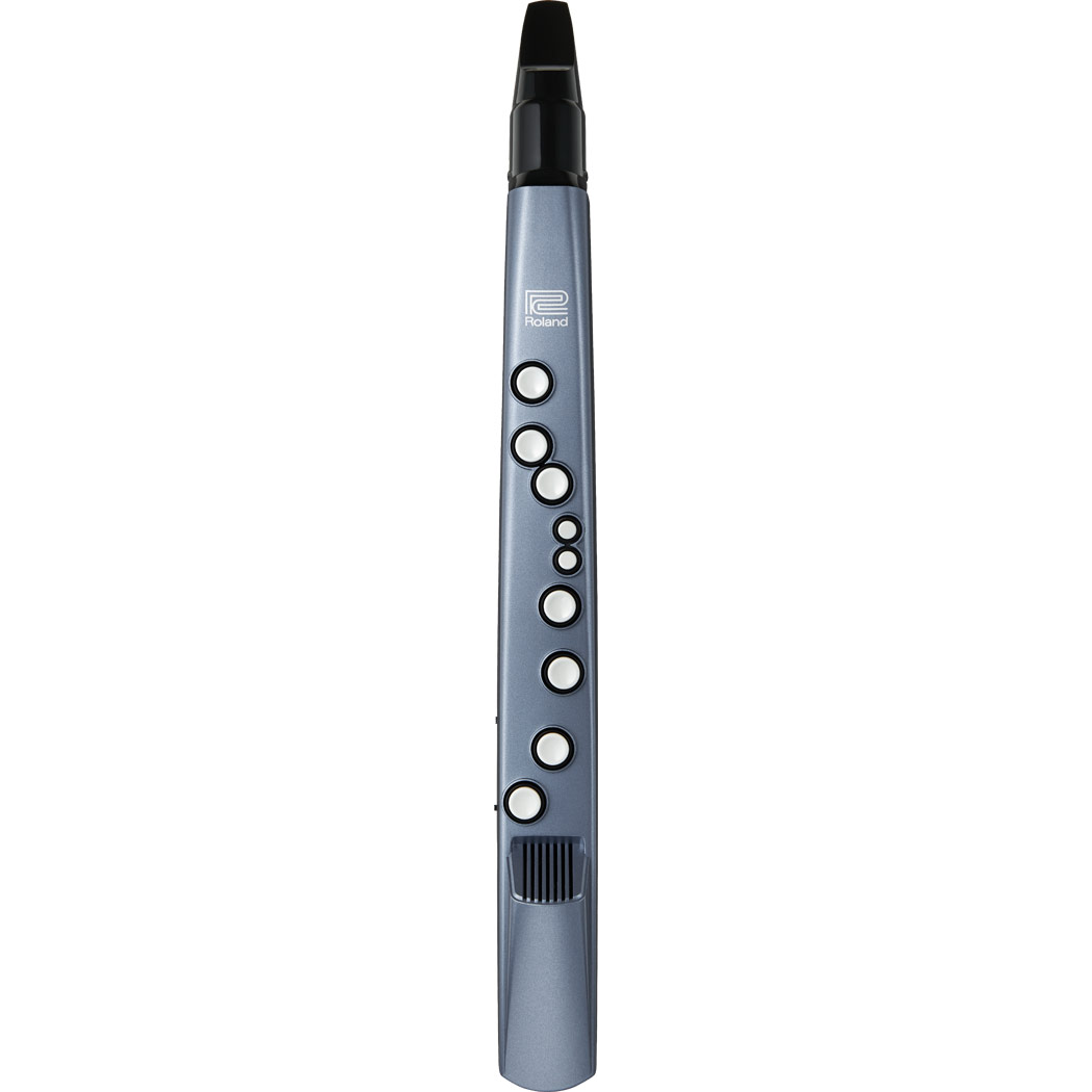 Roland AE-01 Aerophone mini Digital Wind Instrument — Chuck 