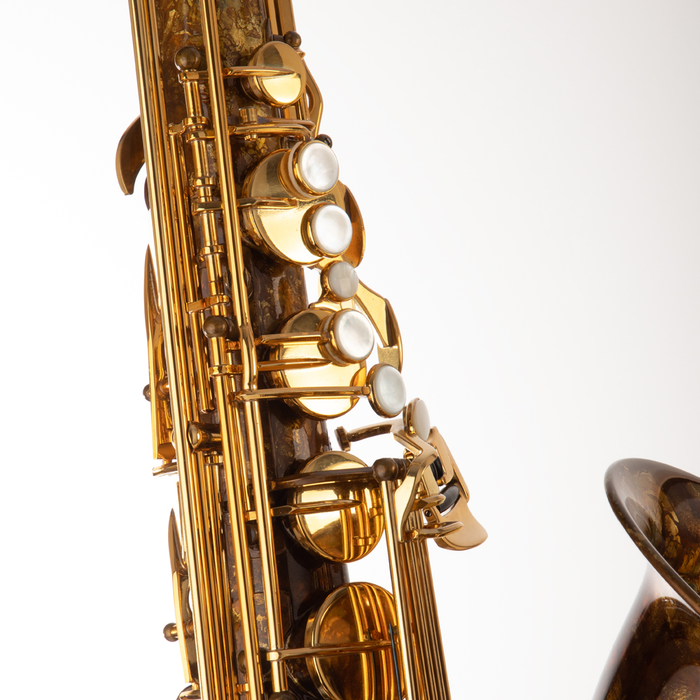 Schagerl T66 LTD Edition 60th Anniversary Model Tenor Saxophone - Vintage Finish