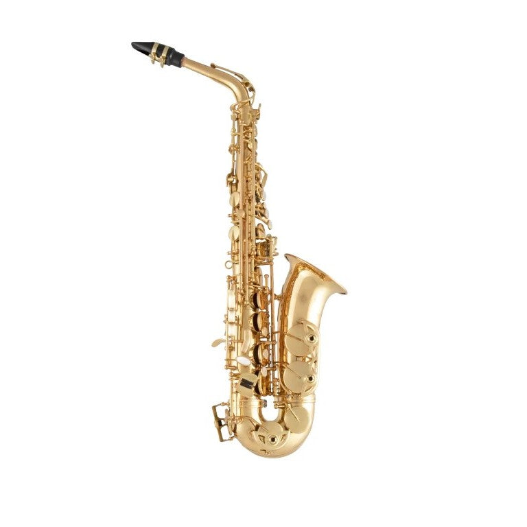 Selmer SAS511 Alto Saxophone – Chuck Levin's Washington Music Center