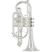 Yamaha YCR-8335IIS Neo B-Flat Cornet W/ Shepherd's Crook - Silver Plated