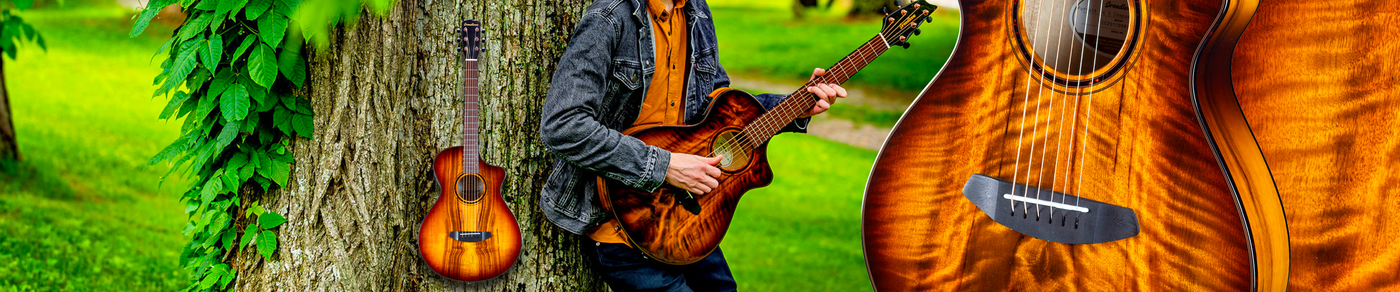 Check out the new Breedlove ECO collection