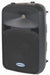 Samson AURO D210 10-Inch Two-Way Active Loudspeaker
