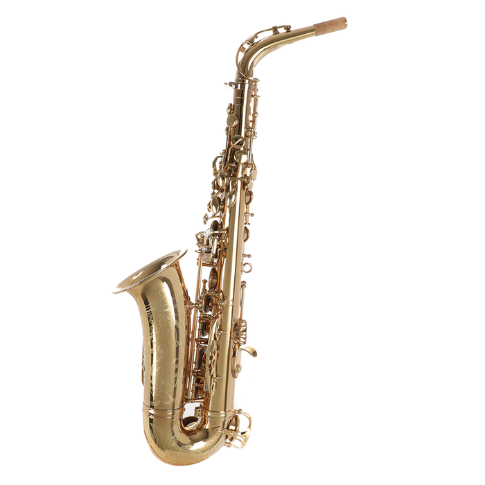 Andreas Eastman EAS850 Professional Alto Saxophone with Case