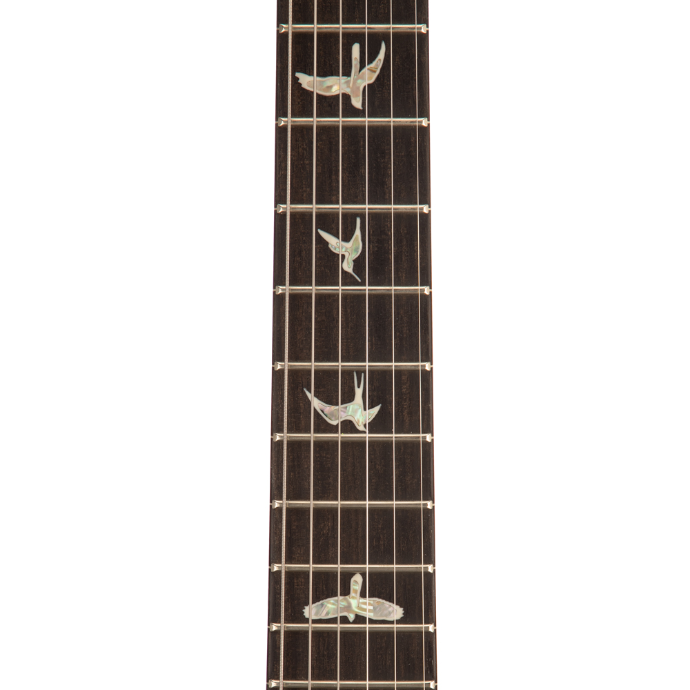 PRS Custom 24 Floyd Electric Guitar - Fire Red Burst - New