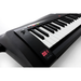 Korg RK-100S 2 37-Key Keytar - Translucent Black