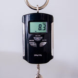 PRS Private Stock McCarty 594 Gold Foil Wings/Paua Body Purfling/Copper Foil Center Electric Guitar - #0409855