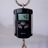 Martin Custom Shop Jumbo Style Wild Grain Rosewood/Adirondack Spruce Acoustic Guitar - CHUCKSCLUSIVE - #M2816473