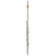Yamaha YFL-382H/LPGP Intermediate Flute - Gold Plated Lip Plate