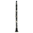 Buffet Crampon BC1102C-2-0 E13 Professional Bb Clarinet with Silver-Plated Keywork