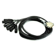 Whirlwind DBF1-M-010 10-Foot Snake Cable with 8 XLRM to DB25-M