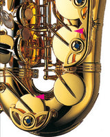 Yanagisawa AWO20UL Alto Saxophone - Unlacquered