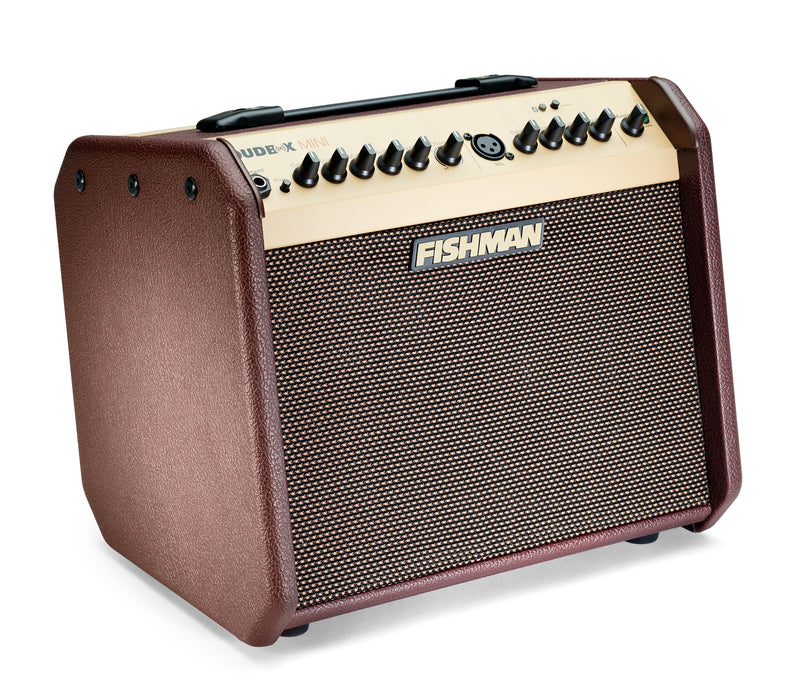 Fishman Loudbox Mini 60-Watt Acoustic Amplifier With Bluetooth - New