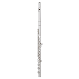 Haynes AF780-BO Amadeus Flute with Classic 14k Wall