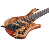 Ibanez EHB1506MSABL Headless 6-String Multi Scale Bass with Bag - Antique Brown Stained Low Gloss - New