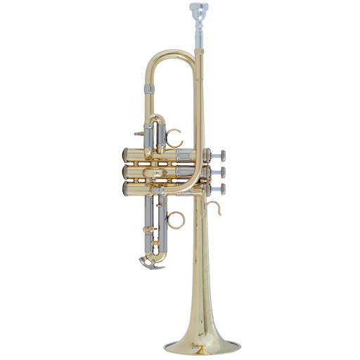 Bach ADE190 Stradivarius Artisan E-Flat/D Trumpet Outfit