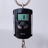 Novo Ivorus Electric Bass Guitar - Charcoal Sparkle - #25638