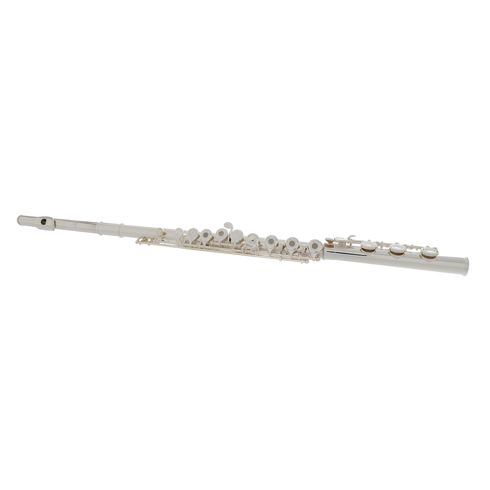 Di Zhao DZ 400BOF Intermediate Flute