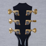 Taylor NAMM 2025 Custom Catch #27 T5z Semi-Hollowbody Acoustic Electric Guitar - #1210024105