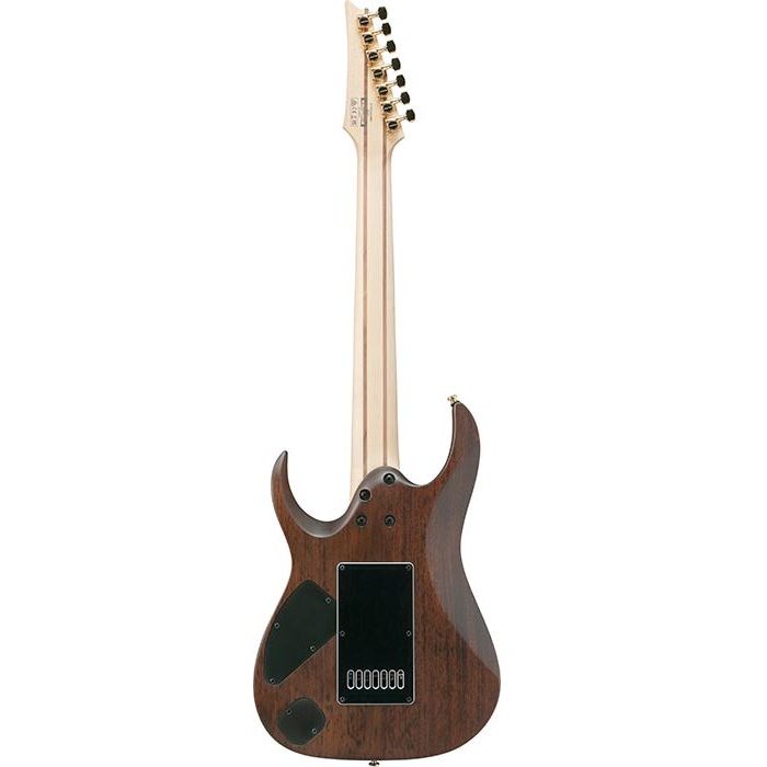 Ibanez Brian 