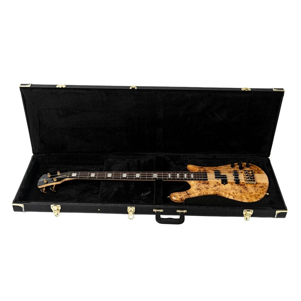 Spector Euro Series NS 4 & 5 String Harshell Case