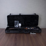PRS Custom 24-08 10-Top Solid Body Guitar - Aurora Borealis - #250410307