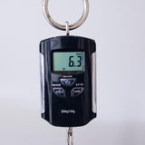 PRS S2 Vela Custom Color Electric Guitar - Walnut - #24S2079483