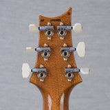 PRS Custom 24 Piezo 10-Top Solid Body Guitar - Aurora Borealis - #250403191