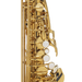 Selmer Paris 92DL Supreme Alto Saxophone, Dark Gold Lacquer